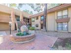 5035 N 10th Pl #202, Phoenix, AZ 85014