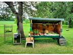 Triple Sweet Corn, Organic Produce and Farm Fresh Eggs