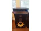 Panasonic Speakers