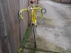 Pino Morroni Tandem Made for 84 LA Olympics One off bike