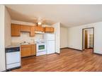 Forest Park Apartments - Two Bed One Bath