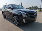 2019 Cadillac Escalade