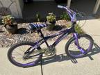 20' Genesis Inspire Bike