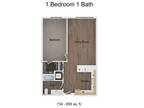 Traxx Apartments - 1 Bedroom 1 Bath
