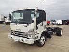1994 Isuzu Isuzu Regular Cab