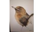 Wren Watercolor Painting watercolor painting. Nature bird art. Original