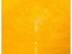 Angel Art Painting Sun Glow Ocean Expressionism Spiritual Religious New Age