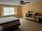 Roommate Needed