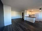 Studio East Apartments - Downstairs Studio Apartment