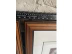 Signed Etchings By John Costin Great blue Heron Tri Colored Heron Numbered