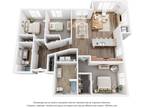 Spring House - C3