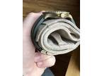 Breitling Superocean 42 Bronze Green w/ free OEM Black Breathing Rubber Strap