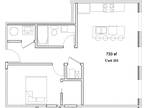609 Pearl Street Apartments - 2 Bed 1 Bath B