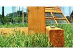 ON SALE- Portable Chicken Yard and Garden Fence Posts with Bases for Baton
