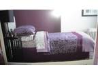 Queen Comforter Set - Brand New