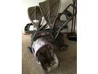 Double stroller/ carseat