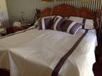 Croscill homes from Dillard's, duvet cover, 3 pillows, 2 shams and bed skirt all