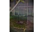 9905 Pineapple Tree Dr #106, Boynton Beach, FL 33436