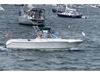 1999 Pursuit 2460 Denali