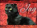 Jag