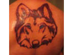 HourOfTheWolfe
