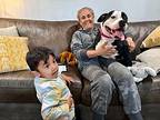 Eleanor Russell American Bulldog Adult Female