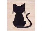 BARN CAT PROGRAM ~ Barn Cats For Placement!! Domestic Shorthair Adult Female