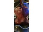 Weymann Guitar 1900 - 1910 #14935