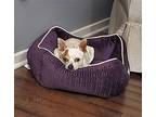 Peppermint Patty~ Chihuahua Female