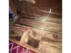 Bach Stradivarius Model 42 Trombone