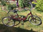 Schwinn adult tricycle