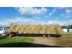 Hay for sale