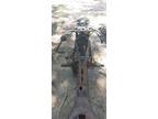 Trike frame