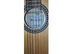 Giannini - GN15-N - Full Size Classical Acústico Nylon - Brazil - Perfect.