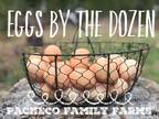 Fertilized LF Cochin Eggs