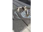Near Brand New Michael Kors Purse