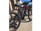 E-Bikes