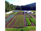 Wanted: Looking to barter or rent land for vegetable Garden