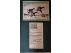 Federal Duck stamp prints