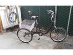 Adult Trike
