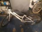 Bicycle for Women or Junior