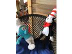 Dr. Seuss and Smurf stuffed