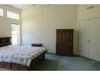 Bed Frame: Queen Sized Solid Wood Platform