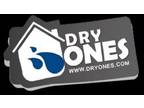 Black Mold Removal Inc