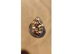 Gold Nugget with Cert See Photos 14.6 Grams Super Nice Make Offer