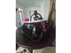 Large hello kitty tote/luggage