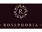Awe Inspiring Collection Of Preserved Roses Just For You