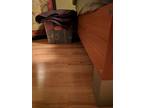 Queen Bedframe GOOD Condition