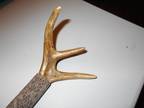 western diamondback rattler mushroom huntin stick