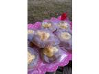 cookie soaps. lot 50